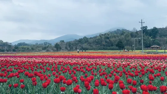 如意湖濕地公園