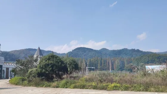 舊州花海