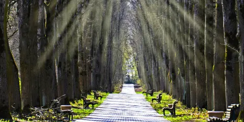 榿木河濕地公園
