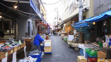 Tsukiji Outer Market