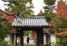 妙心寺山内 退蔵院景点图片