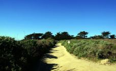 洛博斯角州立保护区-蒙特雷县-小小呆60