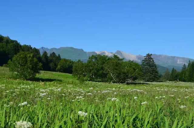 West Slope of Changbai Mountain Scenic Area