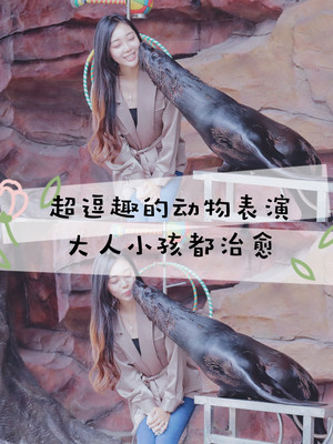 安吉田园嘉乐比萌系游，亲子游必去