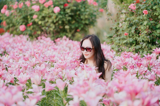 误入童话世界,秋天的荷兰花海