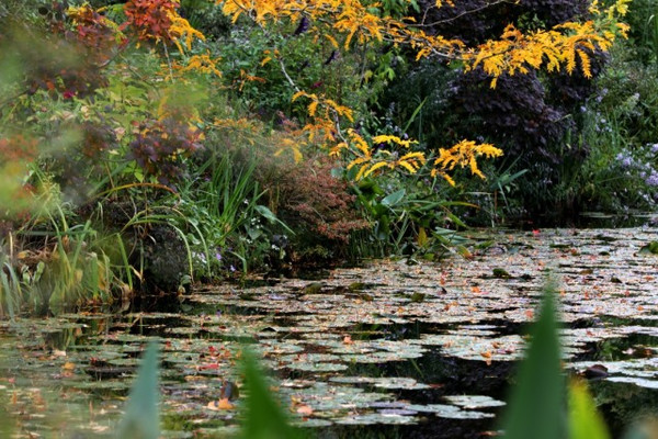 一年只有几个月开放的莫奈花园，秋天是最安静的时候