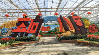 长春不愧是雕塑之城,一粒粒种子也能做出各种雕塑,真是大开眼界