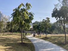 珠江公园-广州-真诚7577