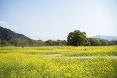 墨潭桃花岛-吉水-C-IMAGE