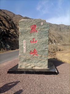 腾格里沙漠-中卫-吾家晨晨