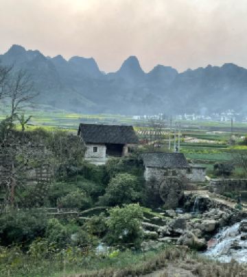 罗平游记图文-兴义、罗平赏花之旅—油菜花的世界