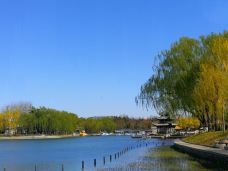 陶然亭公园-北京-秒懂风景