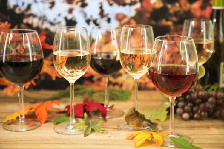Portuguese Wines
