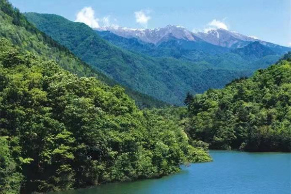 夏日来黄柏塬体验山水农家乐,感受李子柒同款生活