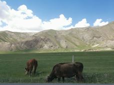 橡皮山-共和-YoYo_9D4S8Y7O