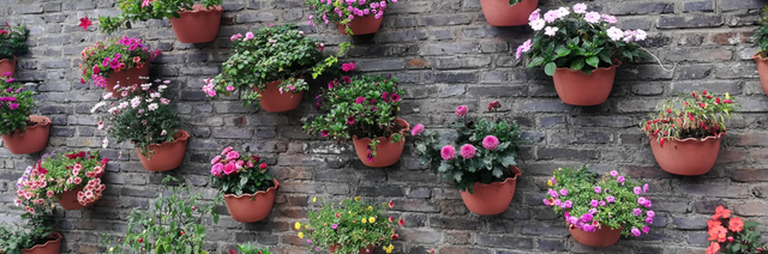 十年梦萦,再入云南(中)