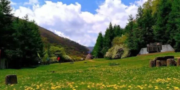 六盤山生態植物園