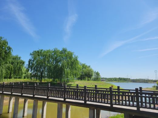 乐泰森林公园