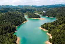 杜鹃湖景点图片