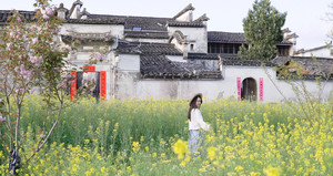 西递景区游记图文-攒下所有关于春天的诗，送给西递。