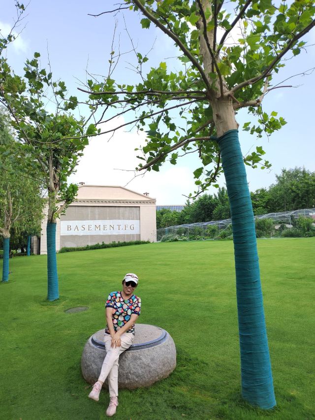京顺园公园旅行图片 9