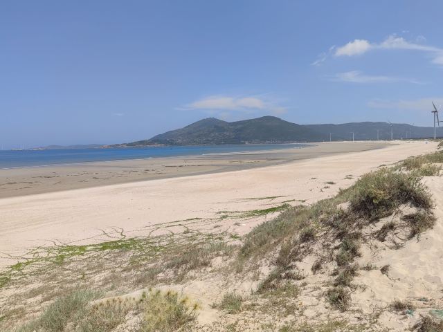 蓝眼泪观景点(长江澳海滩)旅行图片 3
