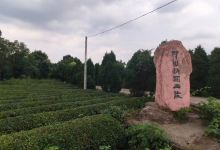 印山越国王陵文化旅游区景点图片