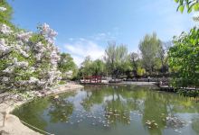 儿童公园景点图片