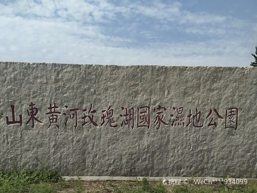 山东黄河玫瑰湖国家湿地公园