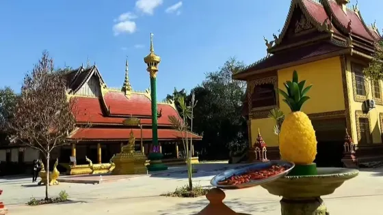 小橄欖壩