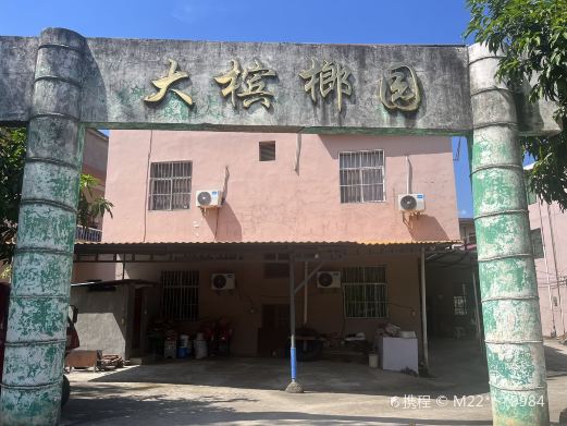 大槟榔园