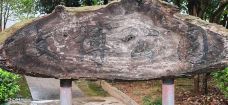 文博公园-婺源-牛奶海