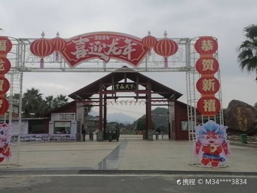紫薇天下