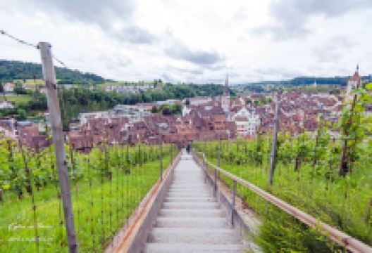 穆诺特城堡景点图片