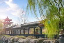 樱花山风景区景点图片