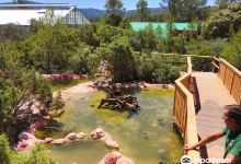 The Turtles Village of Carnoules景点图片