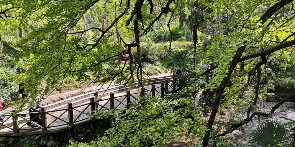 永安旅遊
