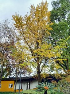 北塔报恩寺-苏州-YoYo_6C8R4N3H