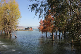 12月滇西自驾14天：腾冲赏银杏，洱海晒太阳，建水追芳华，元阳看梯田