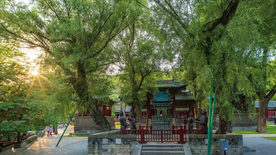 金人台