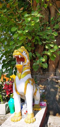 树包塔-芒市-逍遥糊涂仙1971