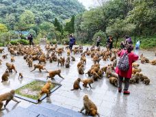黔灵山公园-贵阳-心灵宫殿