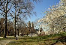 Aobagaoka Park景点图片