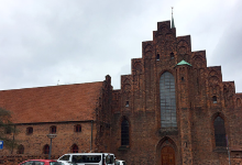 Sankt Mariae Kirke景点图片