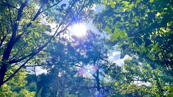 上莊水庫