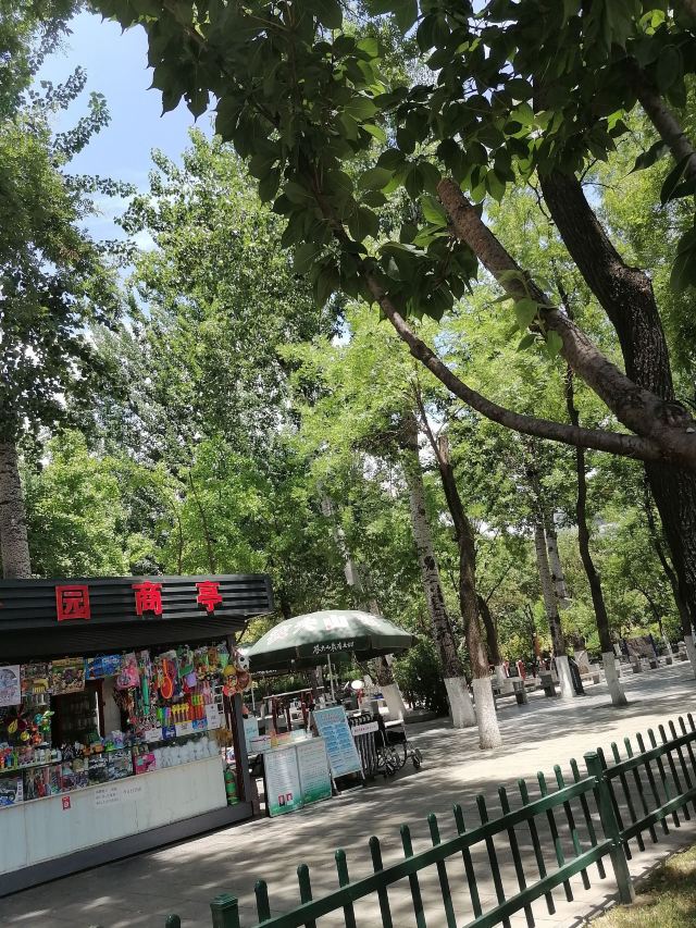 莲湖公园旅行图片 5