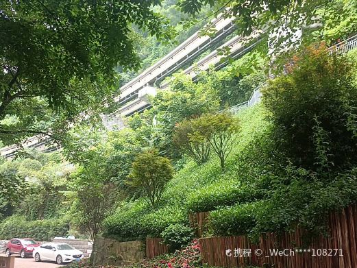 半山崖线