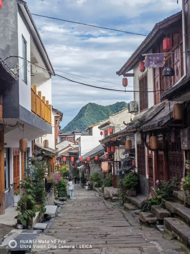 紫柏广场旅行图片 1