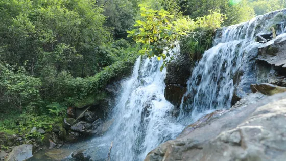 南樓山