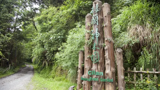 棲蘭森林遊樂區